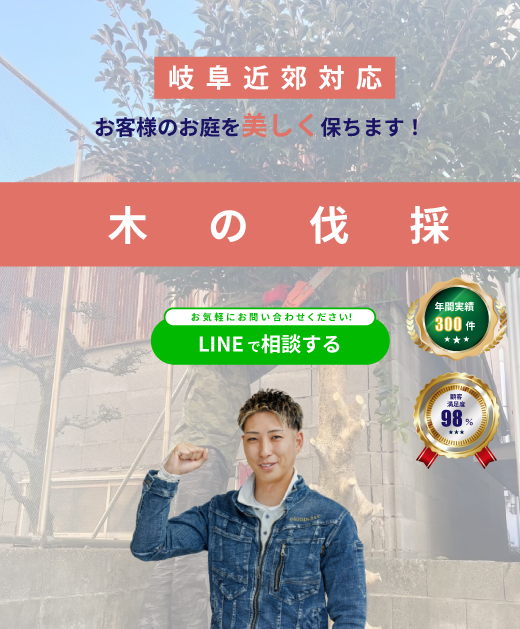 トップ画像