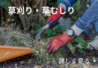草刈り