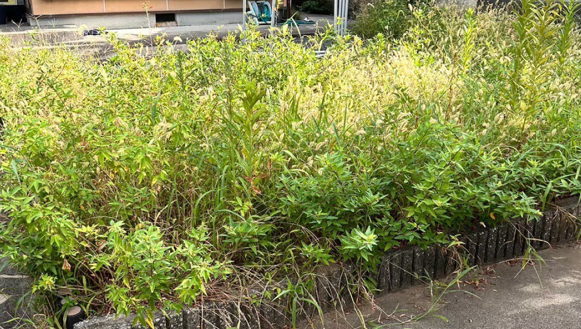 草刈り・草むしり