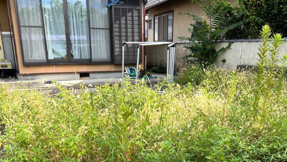 雑草